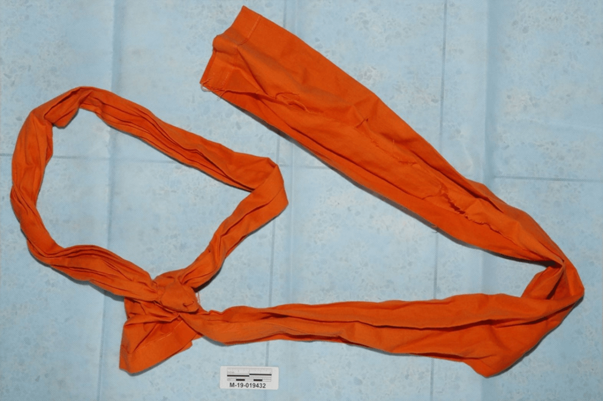 FBI Director Kash Patel Discusses Epstein Death Details