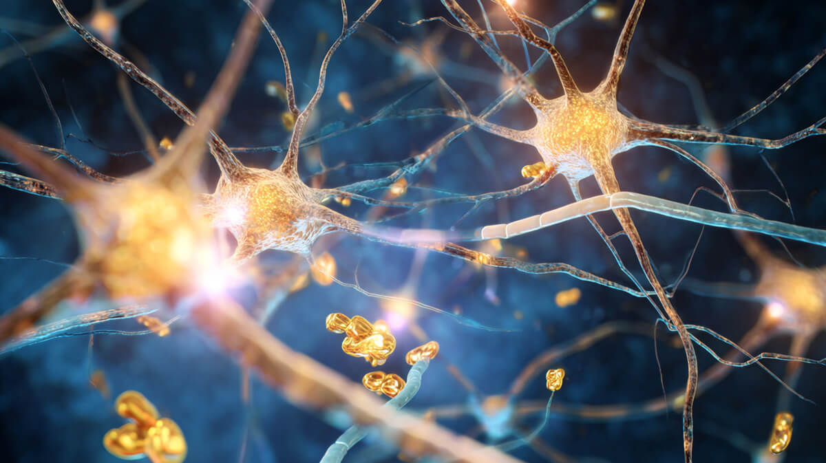 Japanese Scientists Successfully Reverse Alzheimer's Memory Loss in Mice Using Nasal Peptide Treatment