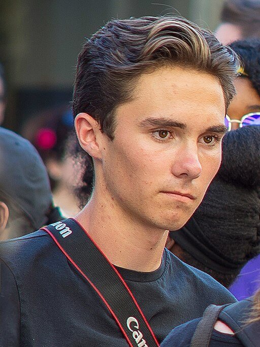 David Hogg's Bold Move to Revamp Democratic Leadership