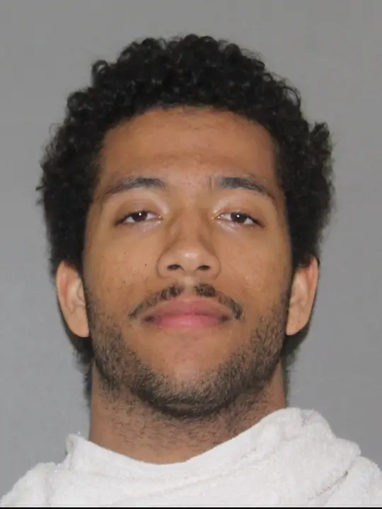 Texas Politician Bobbie Mitchell Survives Attack, Husband Killed